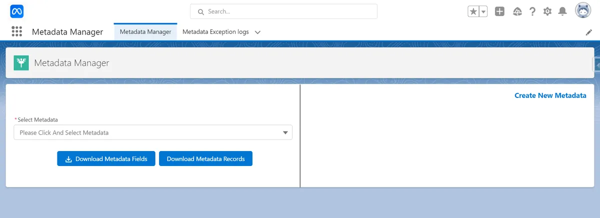 Metadata Import & Export Manager — screenshot from the Salesforce AppExchange listing