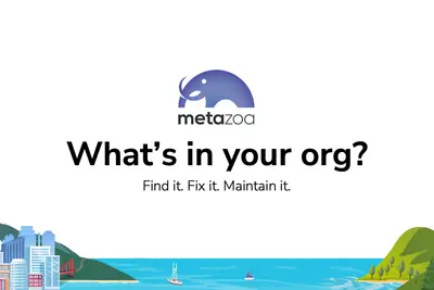 Metazoa Snapshot - The Ultimate Org Management Toolbox for Salesforce — screenshot