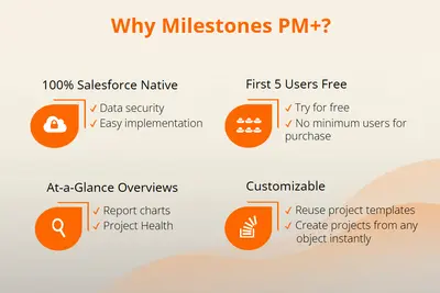 Milestones PM+ Free Edition - Customizable Project Management for Salesforce — screenshot