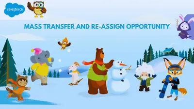 Multiple Opportunity Transfer for Salesforce — screenshot