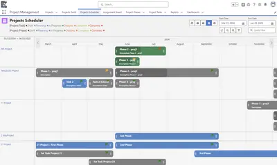 Native Project - Project Management for Salesforce — screenshot