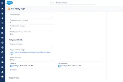 Neon Fundraise for Salesforce — screenshot