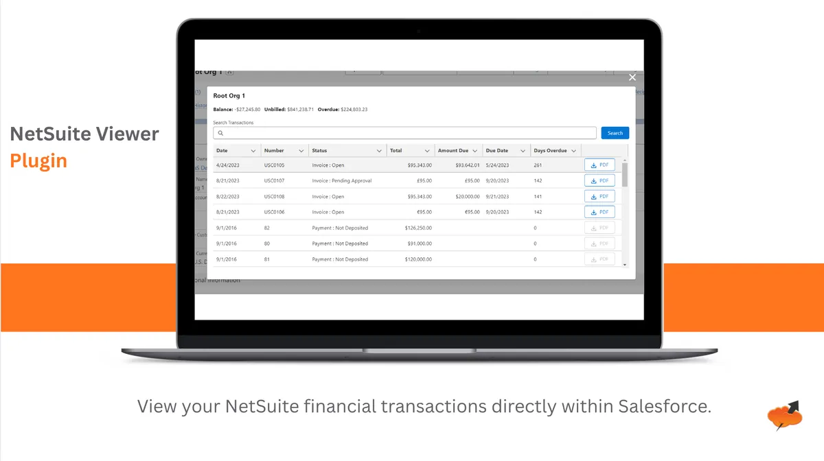 NetSuite Viewer Plugin — screenshot from the Salesforce AppExchange listing