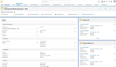 Nonprofit Solutio for Salesforce — screenshot