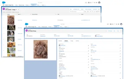 Object Image File for Salesforce — screenshot