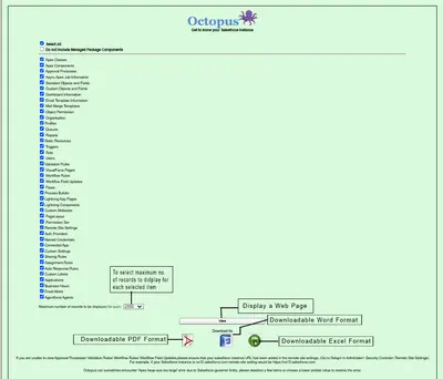 Octopus for Salesforce — screenshot