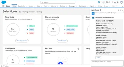 Odaseva Backup for Agentforce for Salesforce — screenshot