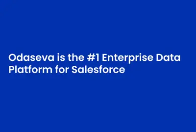 Odaseva: Salesforce Data and Metadata Backup & Recovery for Salesforce — screenshot
