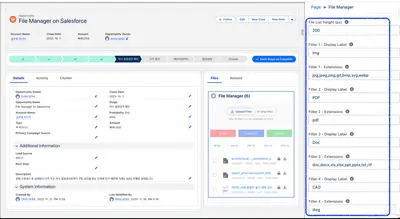 One-Click File Manager for Salesforce — screenshot