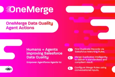 OneMerge Data Quality Agent for Salesforce — screenshot