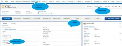 Opportunity to Order Conversion App by Dhruvsoft for Salesforce — screenshot