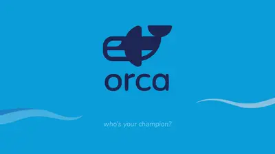 Orca - Customer Marketing Leading Solution for Salesforce — screenshot