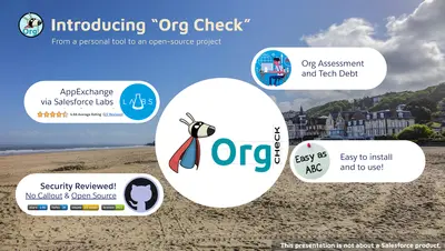 Org Check for Salesforce — screenshot