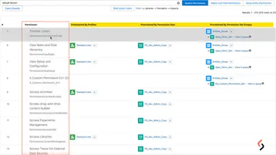 Permatrix: The Fastest, Easiest Way to Navigate Permissions. for Salesforce — screenshot