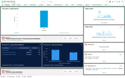 Pinecone for Salesforce — screenshot