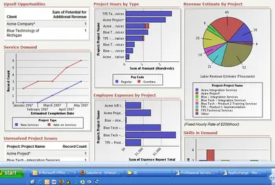 Professional Services Automation 2009 for Salesforce — screenshot