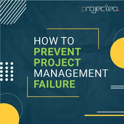 Project Management App By Codleo : ProjecLeo for Salesforce — screenshot