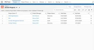 Project Management Tool for Salesforce — screenshot