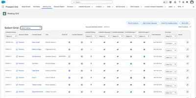 Prospect Grid for Salesforce — screenshot