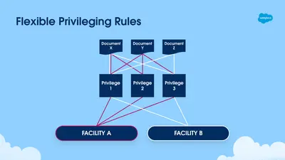 Provider Privileging for Salesforce — screenshot