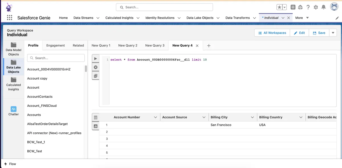Query Workspaces — screenshot from the Salesforce AppExchange listing