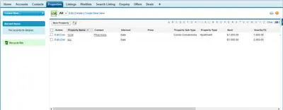 R-CRM for Salesforce — screenshot