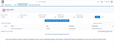 Recycle Bin Manager for Salesforce — screenshot