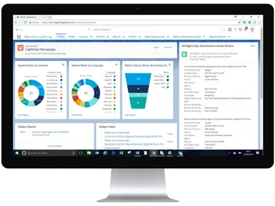 RightsZone for Salesforce — screenshot