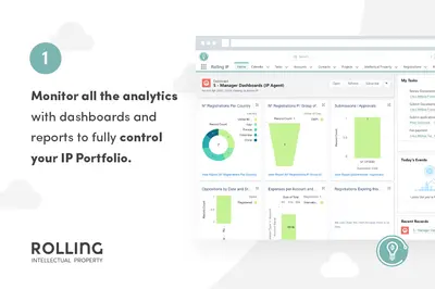 Rolling IP - The Management of your Intellectual Property Portfolio for Salesforce — screenshot