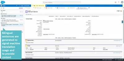 RWS Language Weaver for Live Agent for Salesforce — screenshot
