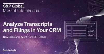 S&P Capital IQ Pro Document Intelligence for Salesforce — screenshot