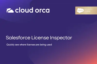 Salesforce Licence Inspector by Cloud Orca for Salesforce — screenshot