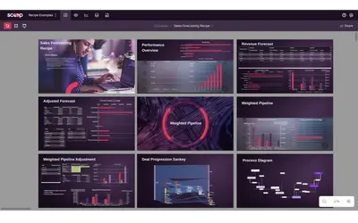Scoop Analytics for Salesforce — screenshot