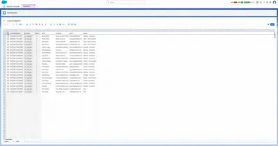 SheetRocks for Salesforce for Salesforce — screenshot