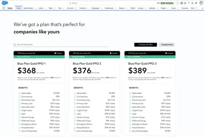 SimplifyX AI Solutions for Salesforce — screenshot