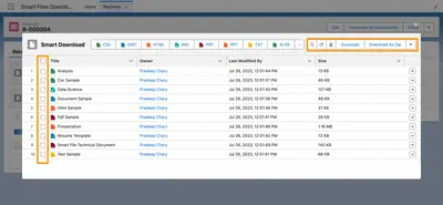 Smart Files Download for Salesforce — screenshot