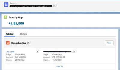 Smart RollUp for Salesforce — screenshot