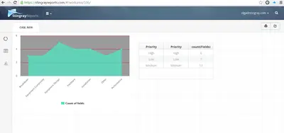 StingrayReports for Salesforce — screenshot
