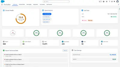 The Auditor from Resource Interactive for Salesforce — screenshot