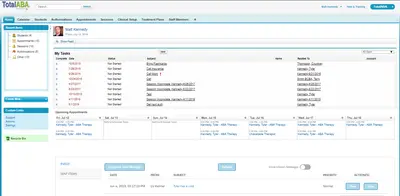 Total ABA for Salesforce — screenshot