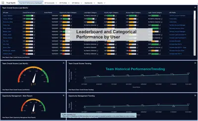TRUE NORTH - Digital Adoption & Performance Platform for Salesforce — screenshot