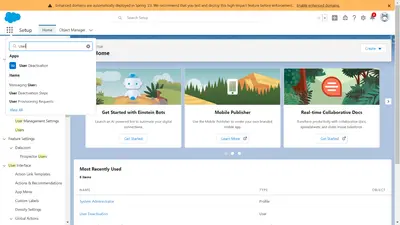 User deactivation (Deactivate User) for Salesforce — screenshot