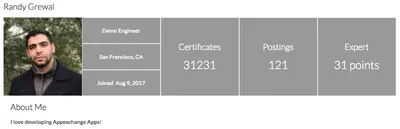 User Profile Summary Banner for Salesforce — screenshot