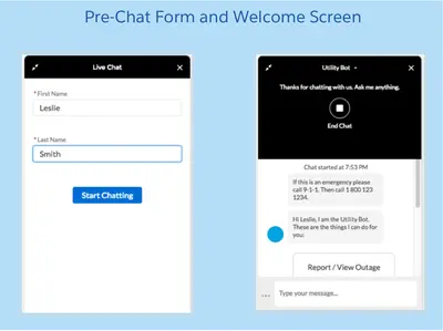 Utility Bot for Salesforce — screenshot