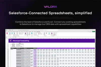 Valorx Fusion - Salesforce and Excel Connector for Salesforce — screenshot