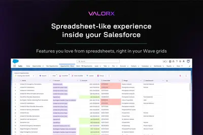 Valorx Wave - Grid Editing & Mass Updates - Spreadsheet Inline Editor for Salesforce — screenshot
