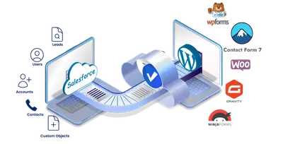 WordPress Connector For Salesforce (Includes Integration with WooCommerce) for Salesforce — screenshot
