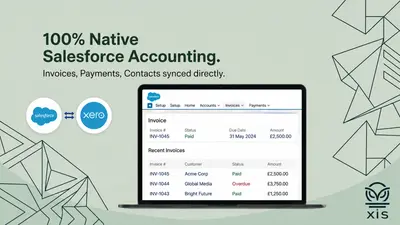 Xero Integration Services for Salesforce — screenshot